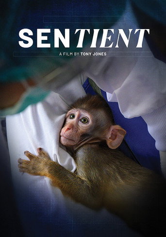 Poster for Sentient