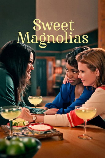 Poster for Sweet Magnolias Season 5