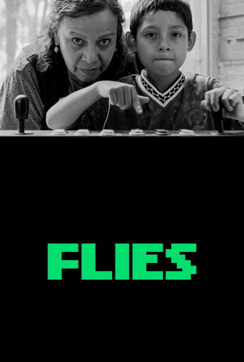 Poster for Flies (Moscas)