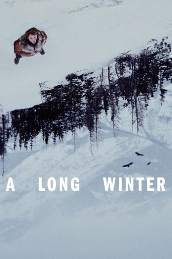 Poster for A Long Winter