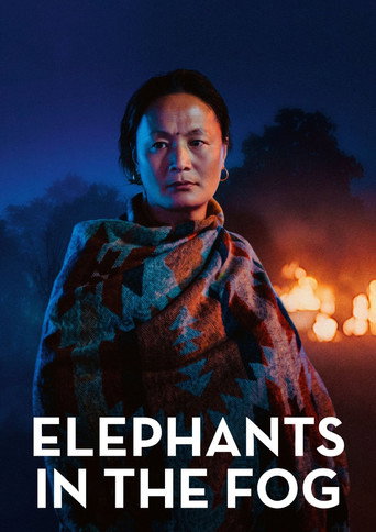 Poster for Elephants in the Fog